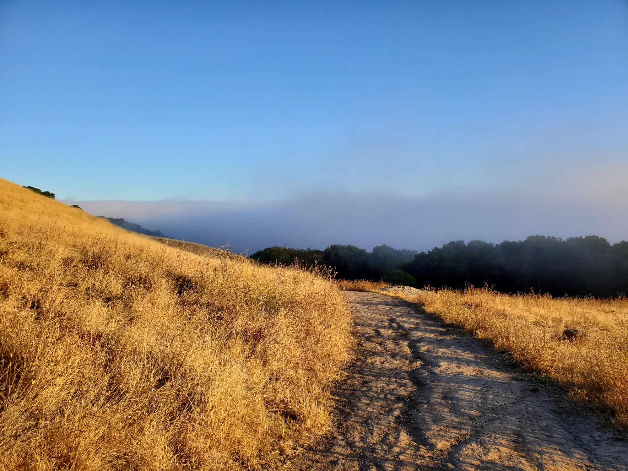 Mission Peak Hike - 08/04/19