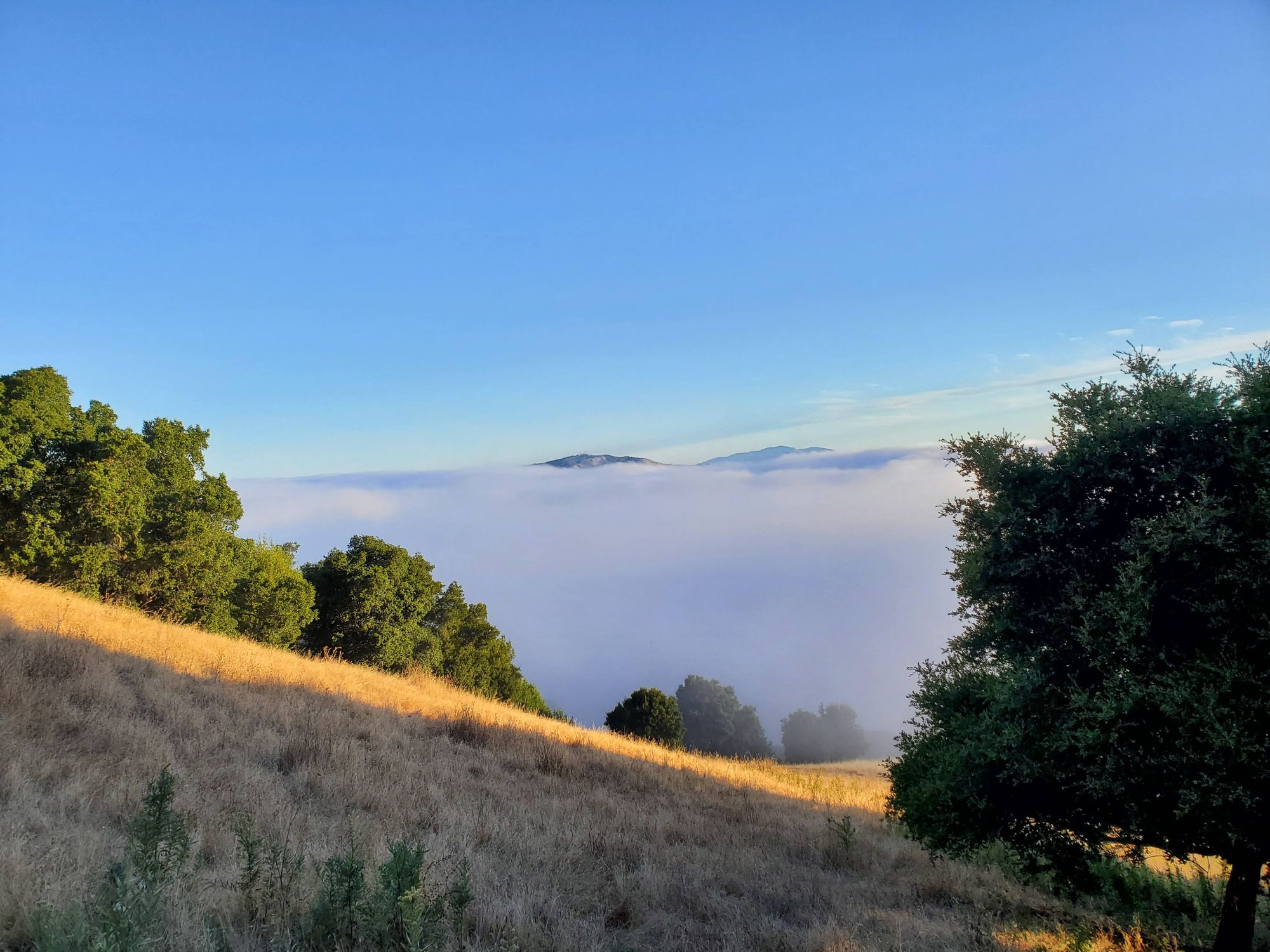 Mission Peak Hike - 08/04/19