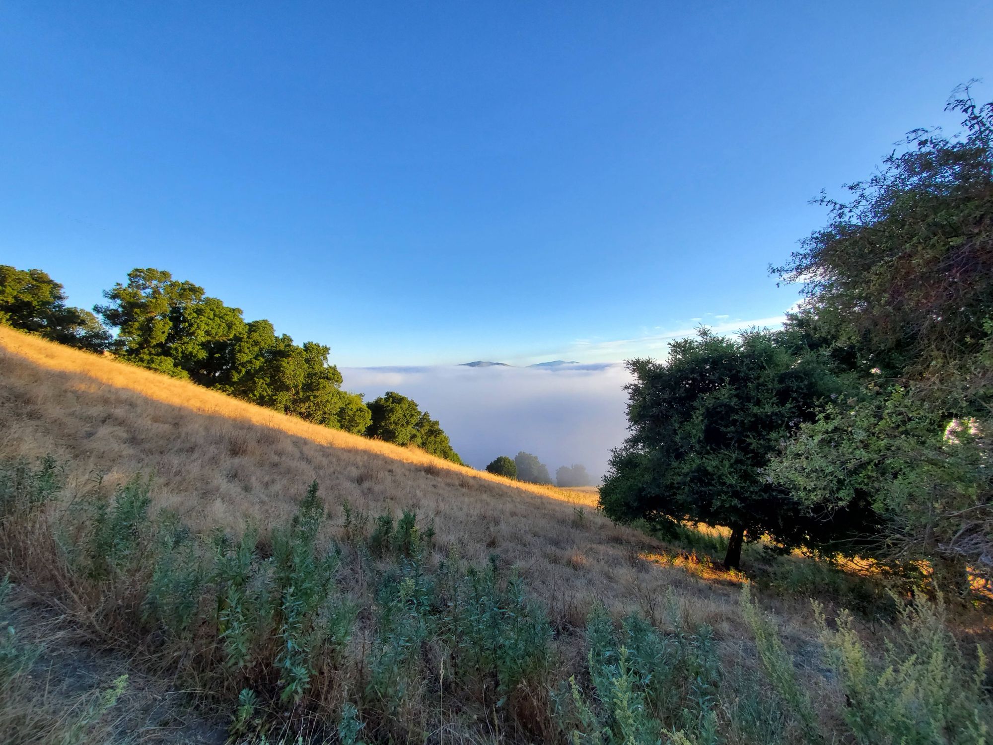 Mission Peak Hike - 08/04/19