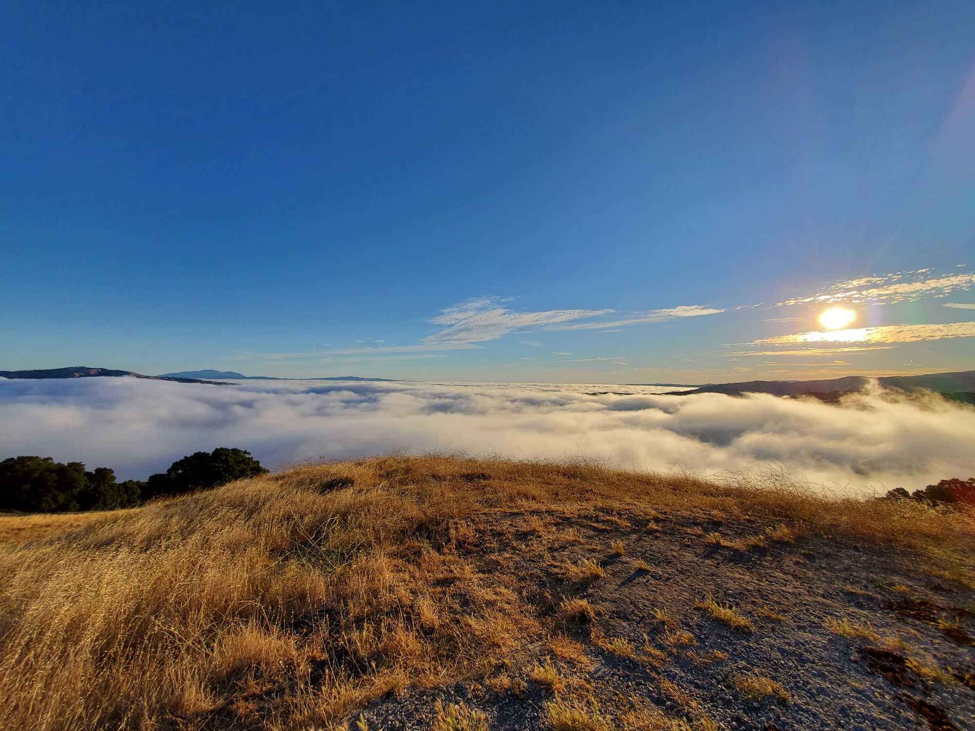 Mission Peak Hike - 08/04/19