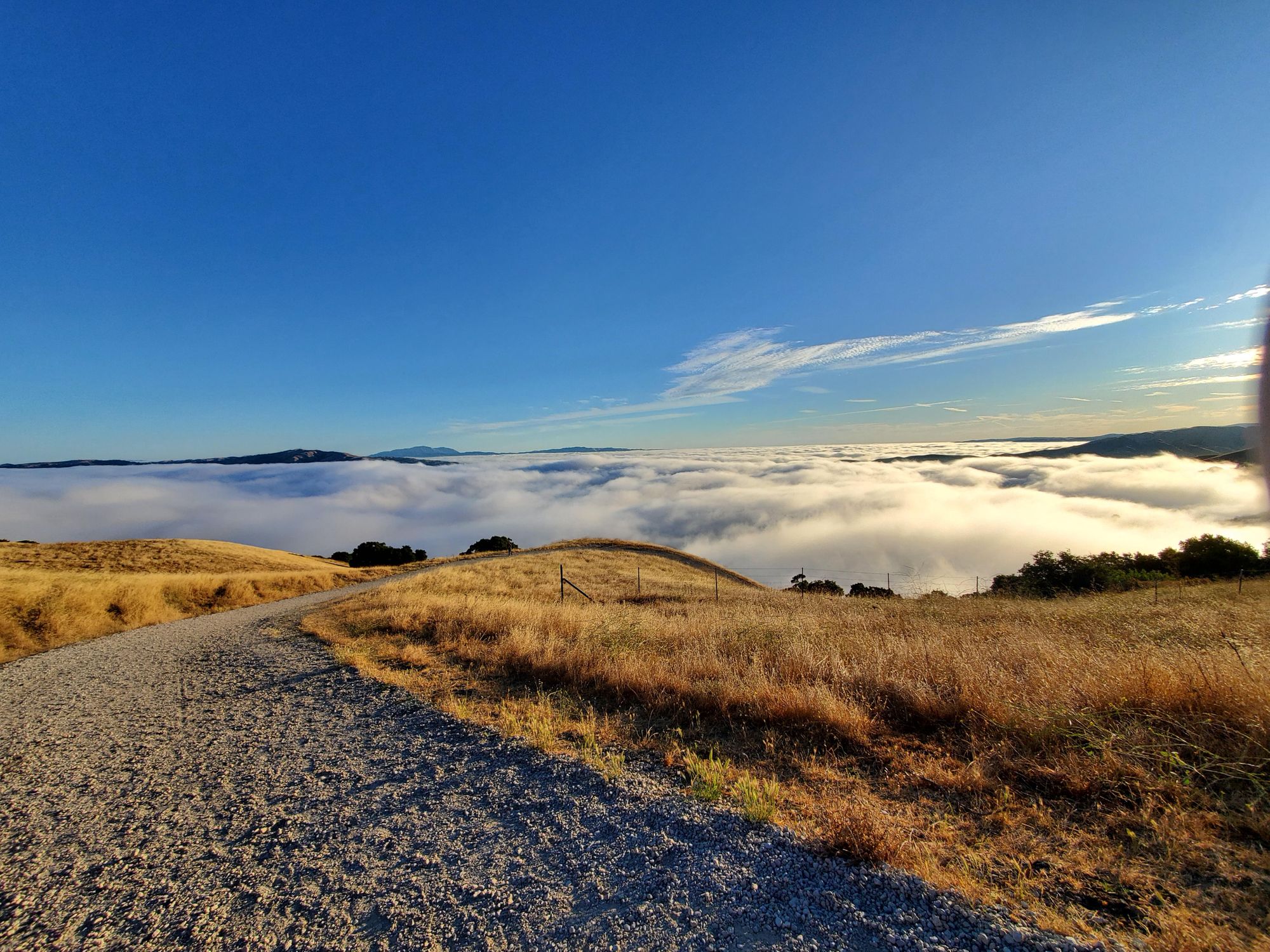 Mission Peak Hike - 08/04/19