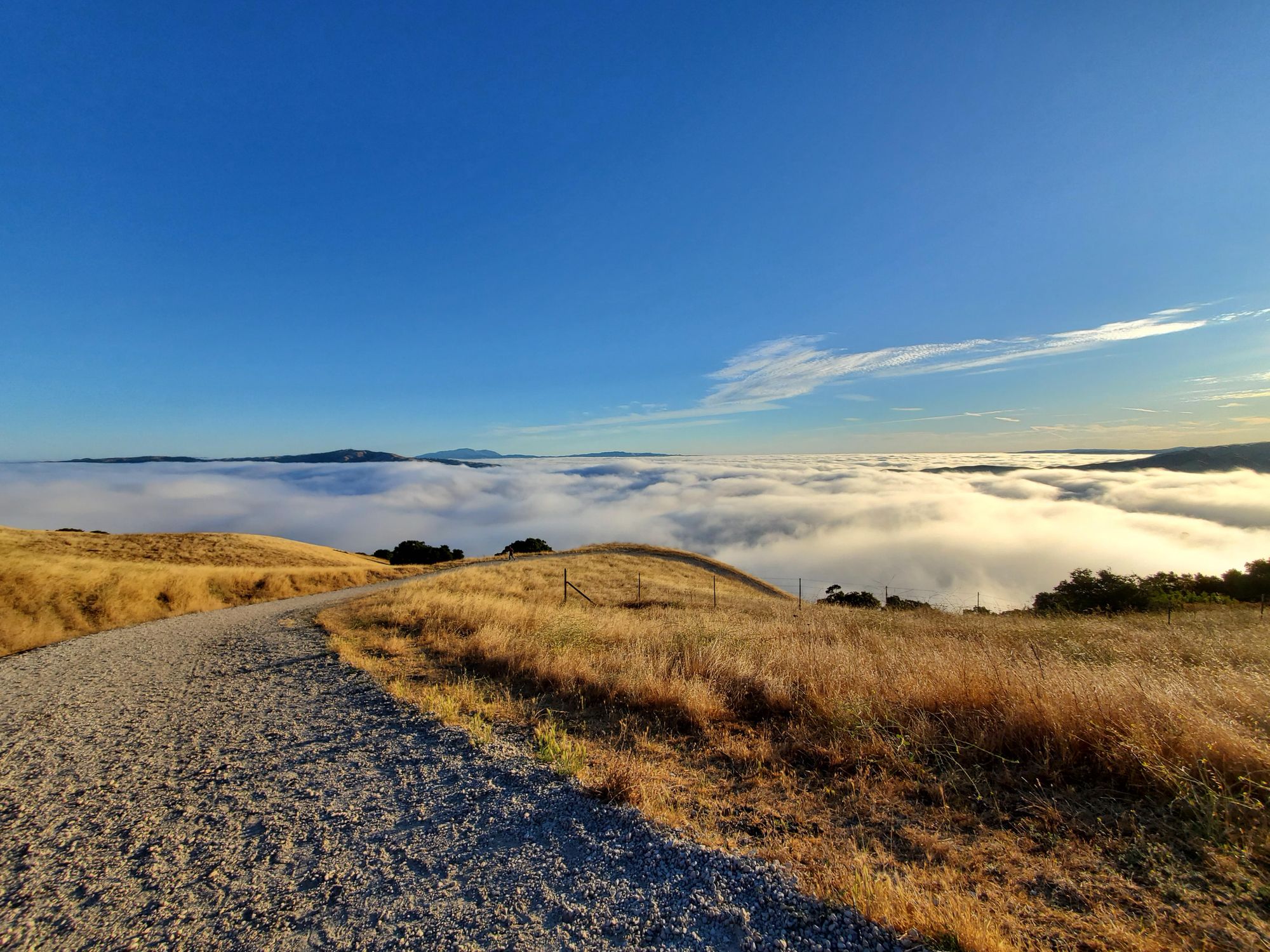 Mission Peak Hike - 08/04/19