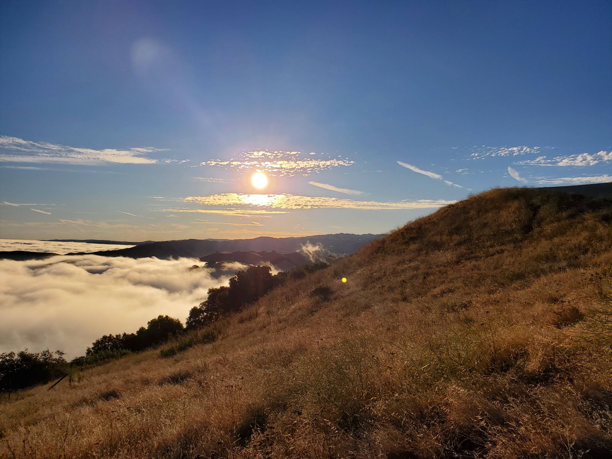 Mission Peak Hike - 08/04/19