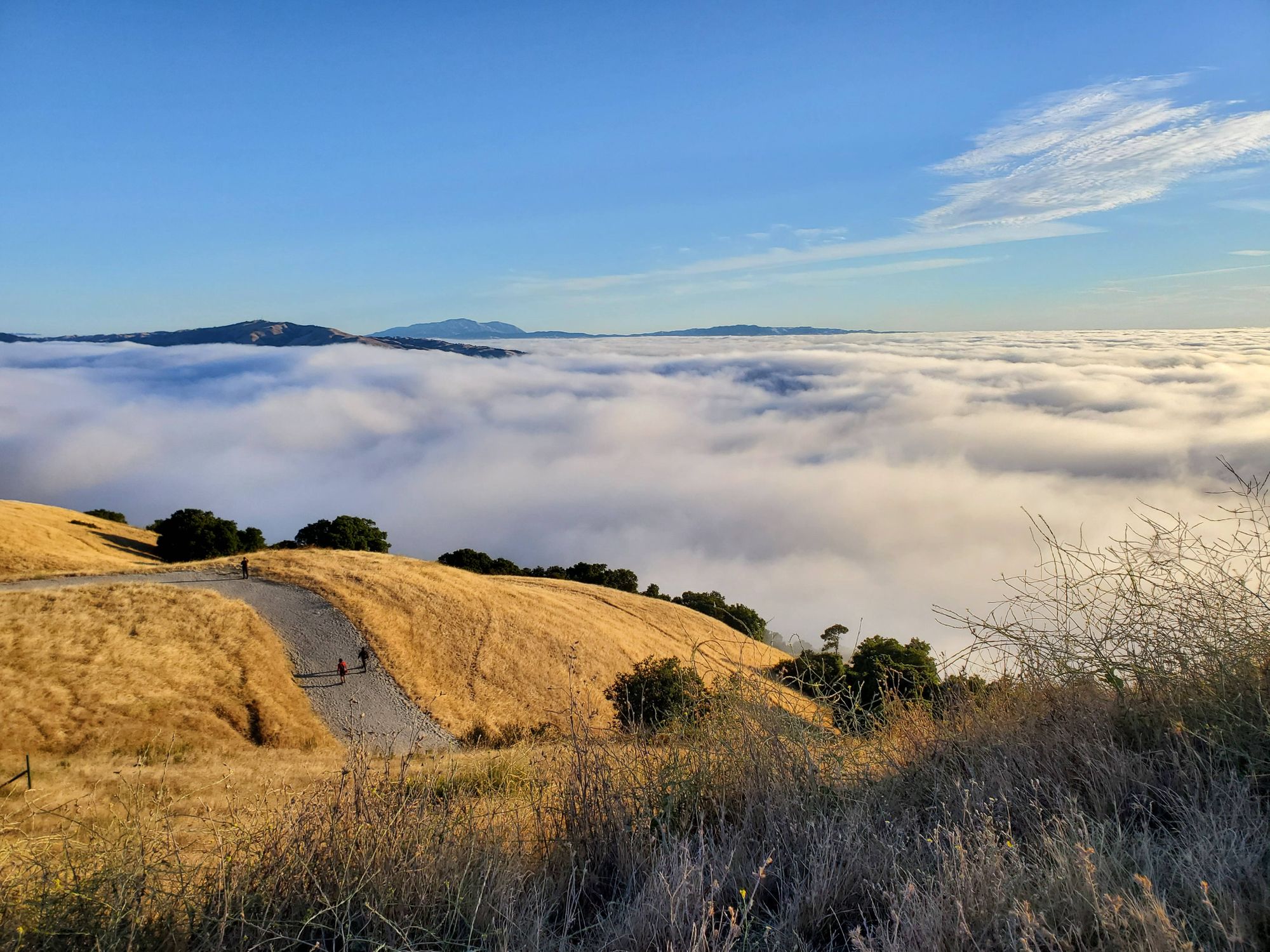 Mission Peak Hike - 08/04/19