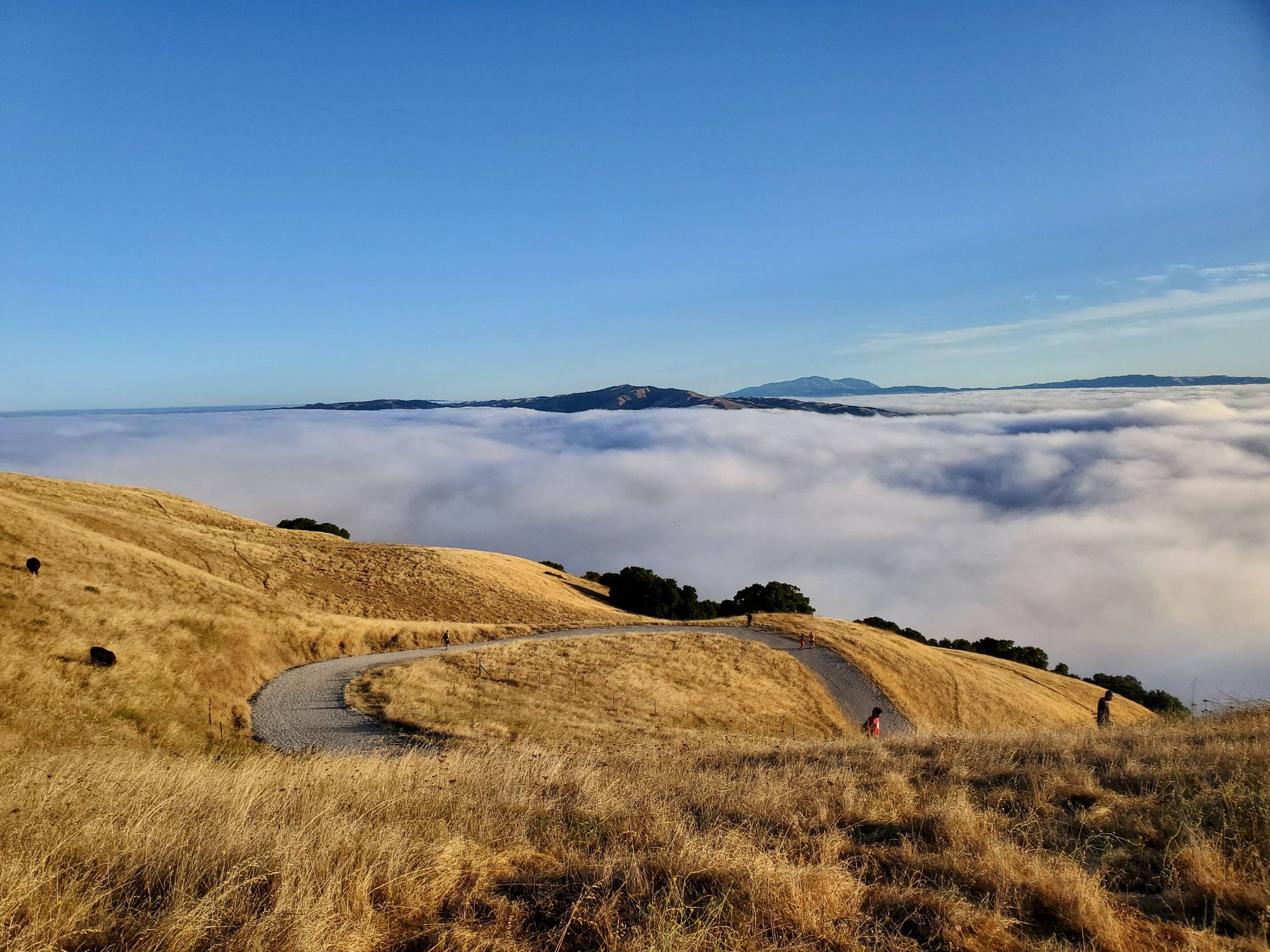 Mission Peak Hike - 08/04/19