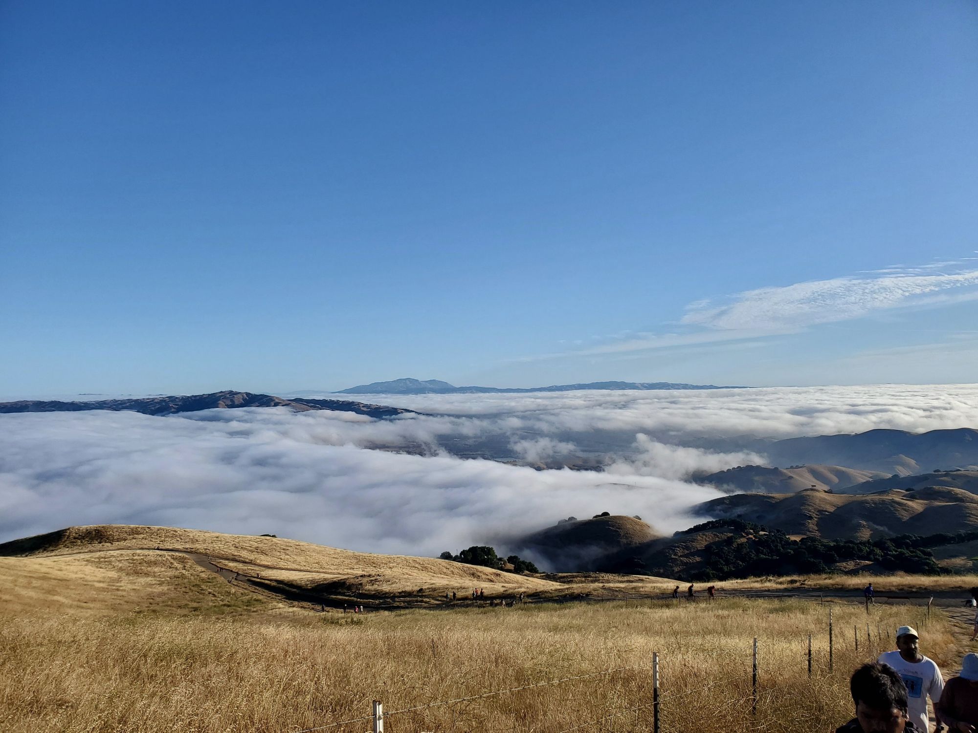 Mission Peak Hike - 08/04/19