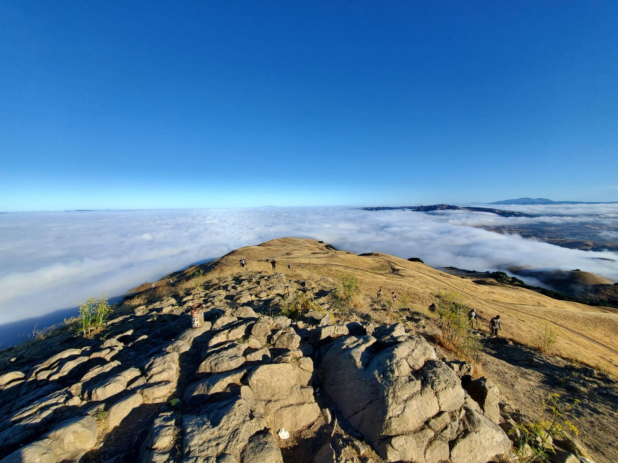 Mission Peak Hike - 08/04/19