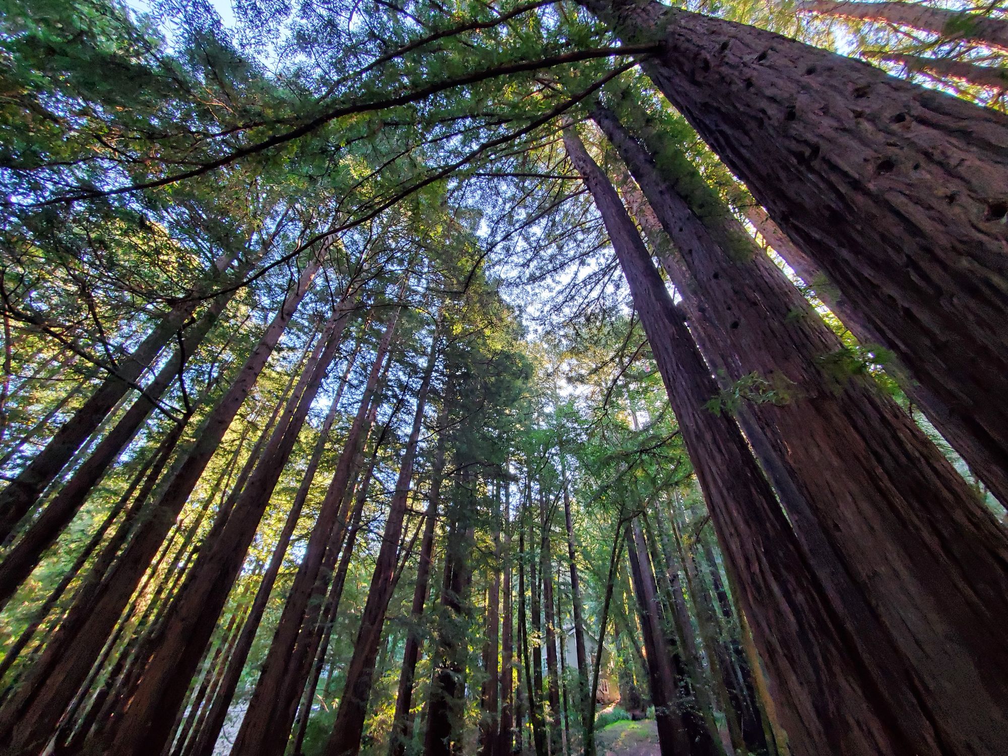 Mill Valley and Sausalito